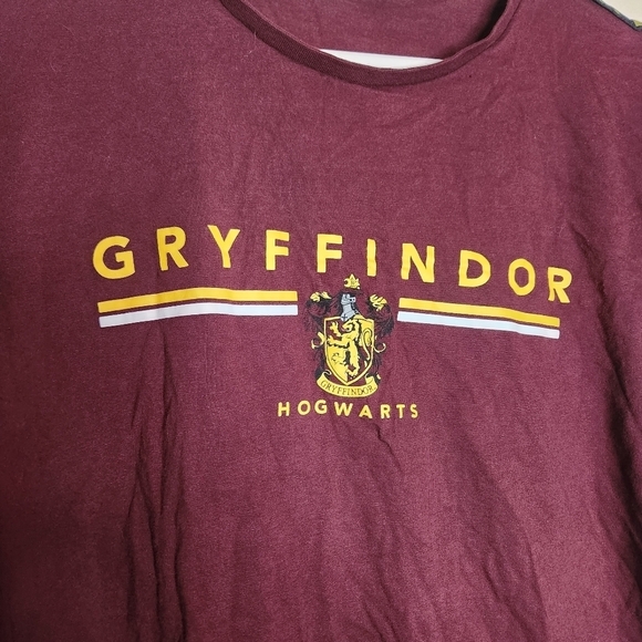 Harry Potter Gryffindor Class Tee Shirt Size Large Unisex - Picture 3 of 6